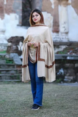 Graceful Beige Colour Semi Pashmina Sozni Shawl With Beautiful Border Owning A Unique Accessory.