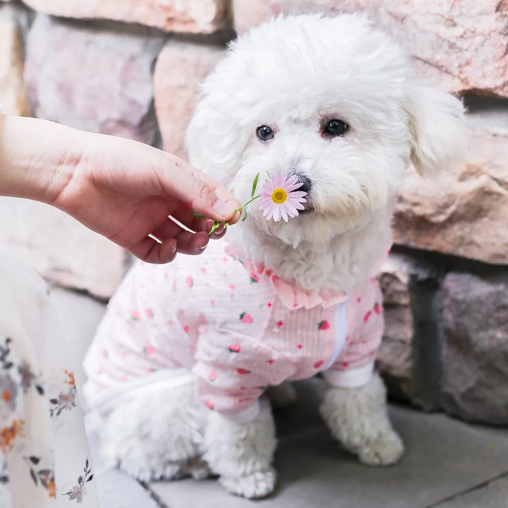 Pink Strawberry Dog Clothing