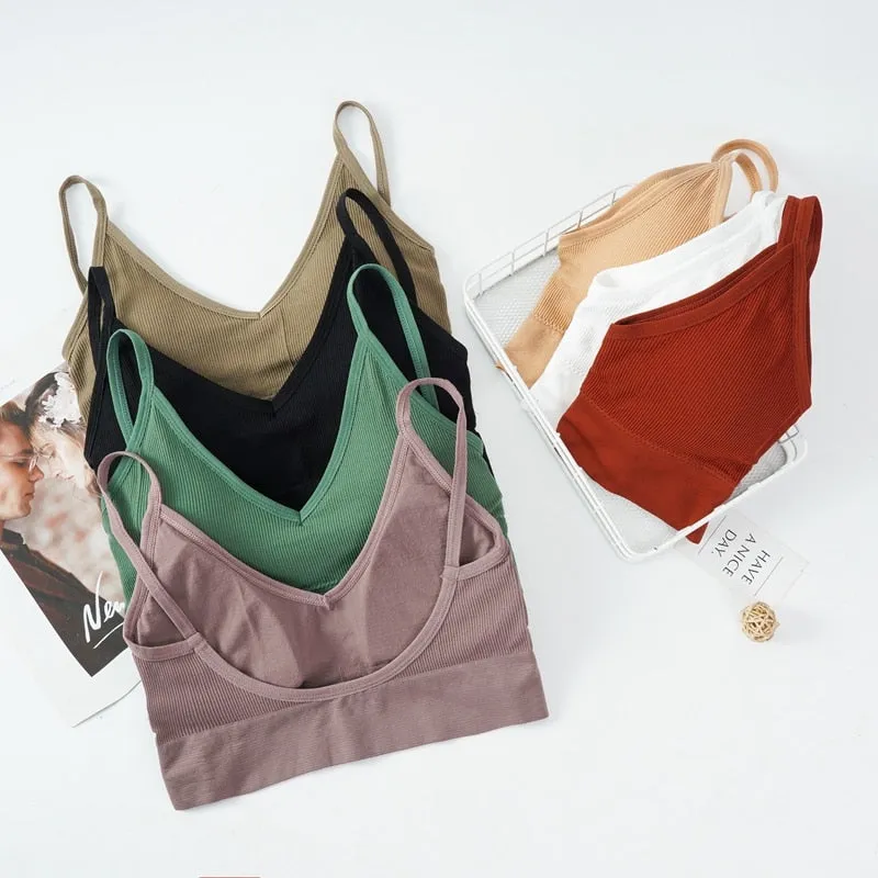 Seamless Padded Brallete Tank Top with Removable Padding