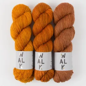 WESTKNITS KIT - HAZELNUT FORAGER